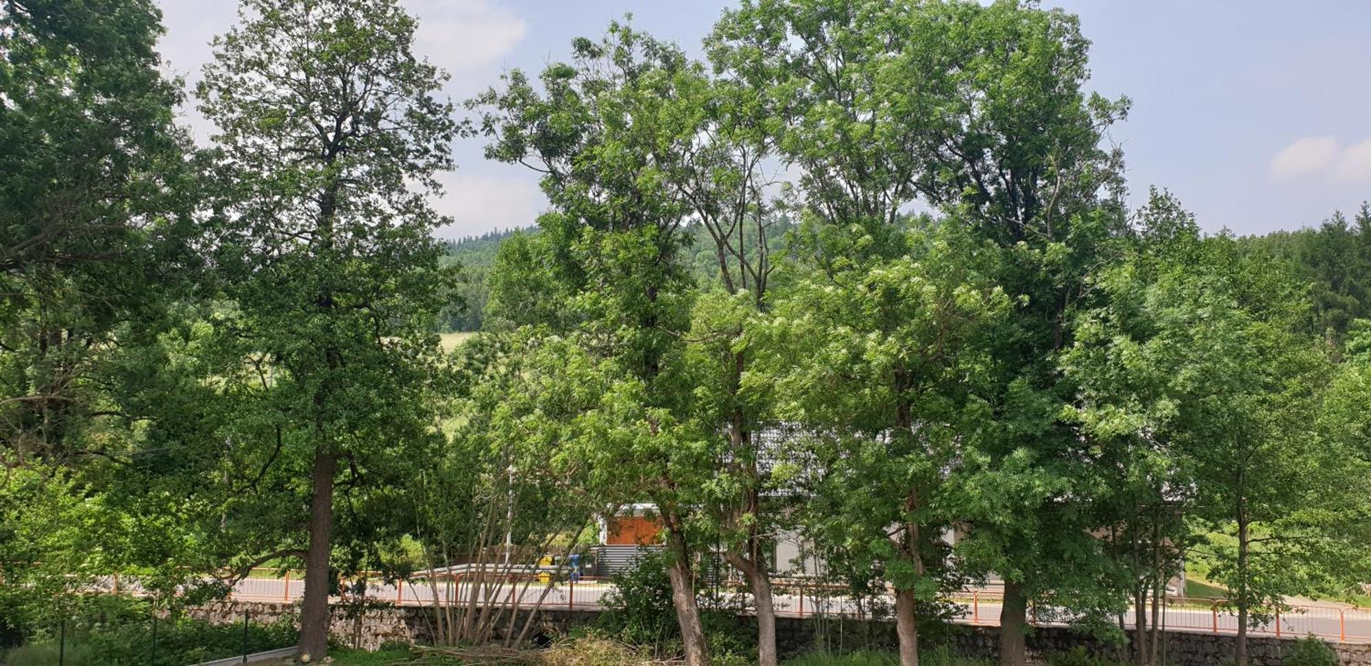 Zajazd Stronie Stronie Śląskie Exterior foto